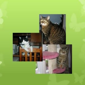 Meet your Posher, Debra